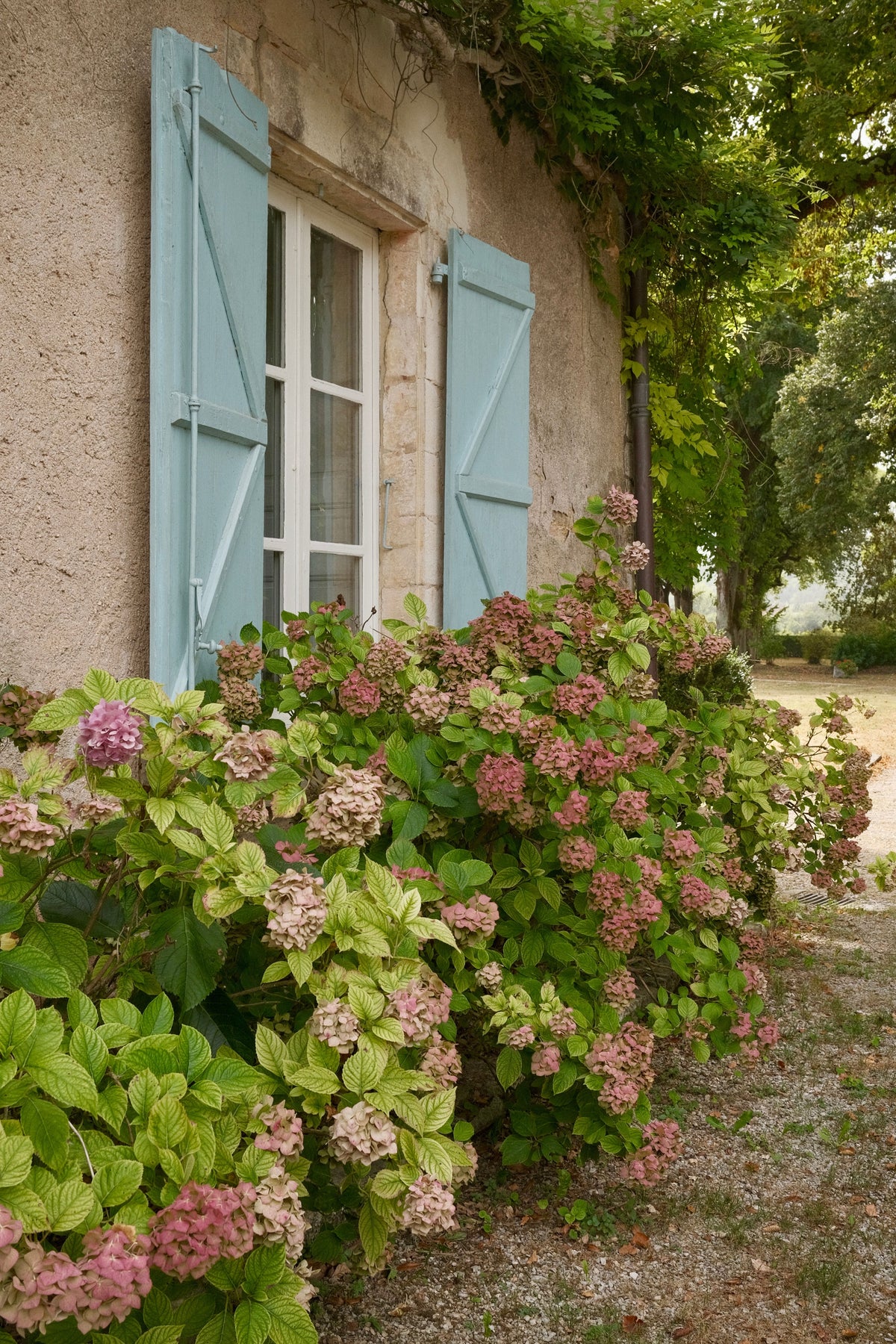 Jardin